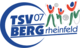 (SG) TSV Bergrheinfeld